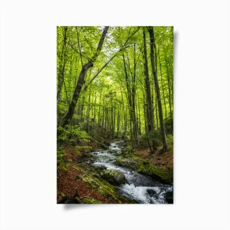 Póster bosque esmeralda con arroyo – Pixers®