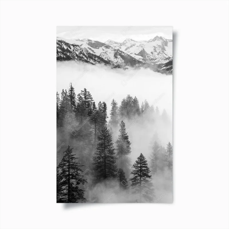 Póster niebla entre secuoyas en Giant Forest, Sierra Nevada