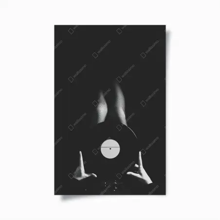 Póster melodía en sombras y vinilo – Pixers®