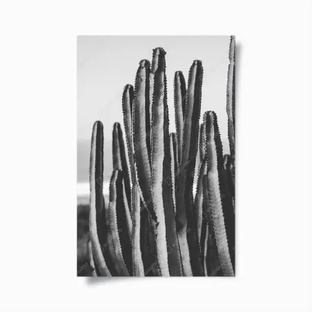 Póster cactus monocromático textura minimalista – Pixers®