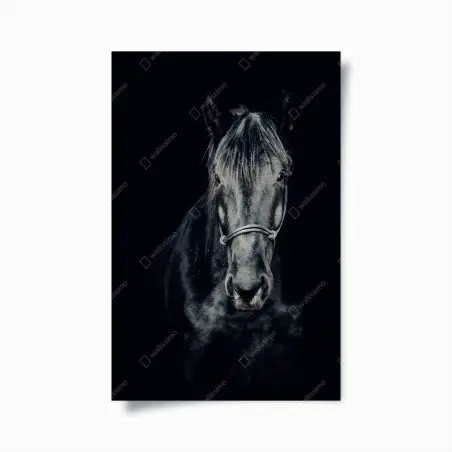 Póster retrato majestuoso de un caballo negro – Pixers®