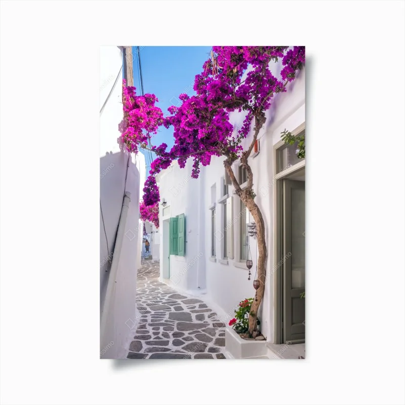 Póster rincón mediterráneo con buganvillas moradas