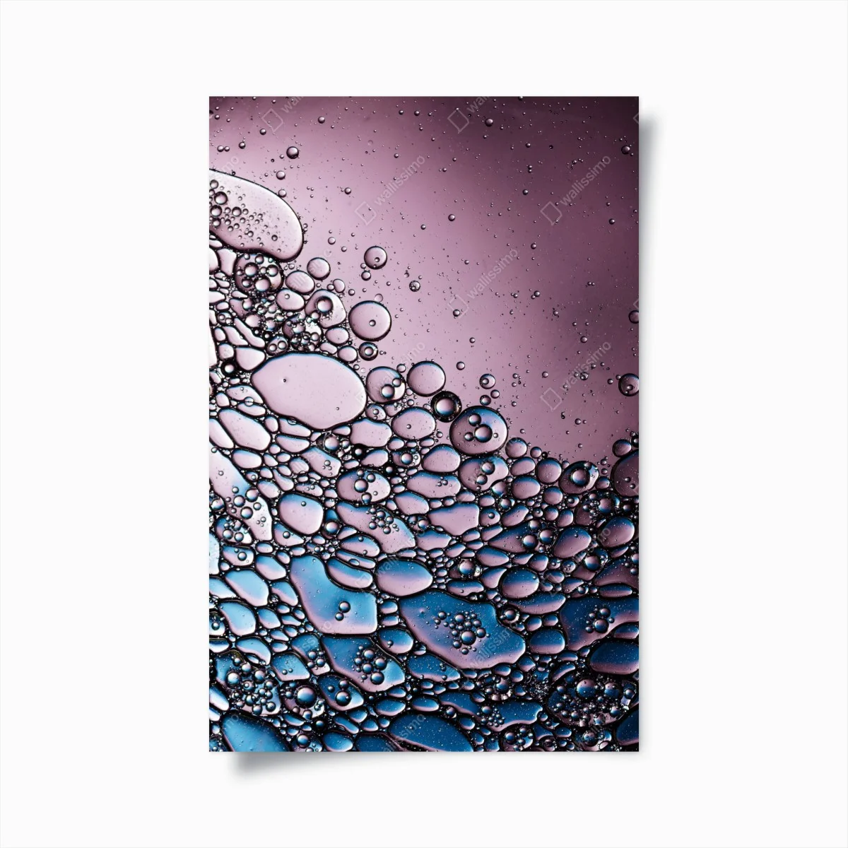 Póster composición de burbujas en tonos rosa y azul – Pixers® Póster composición de burbujas en tonos rosa y azul – Pixers®