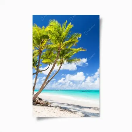 Póster palmeras tropicales en la playa de Punta Cana – Pixers®