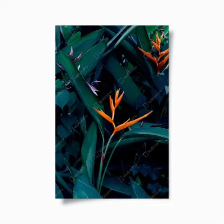 Póster ave del paraíso entre hojas verdes profundas – Pixers®