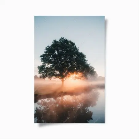 Póster árbol al amanecer con reflejo en lago – Pixers®