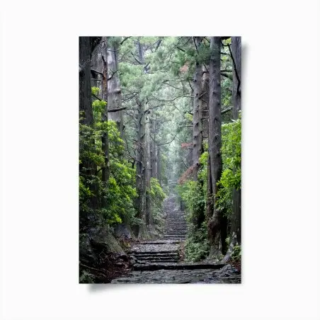 Póster sendero de piedra en bosque milenario – Pixers®