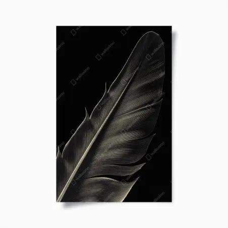 Póster pluma en blanco y negro: detalle minimalista – Pixers®