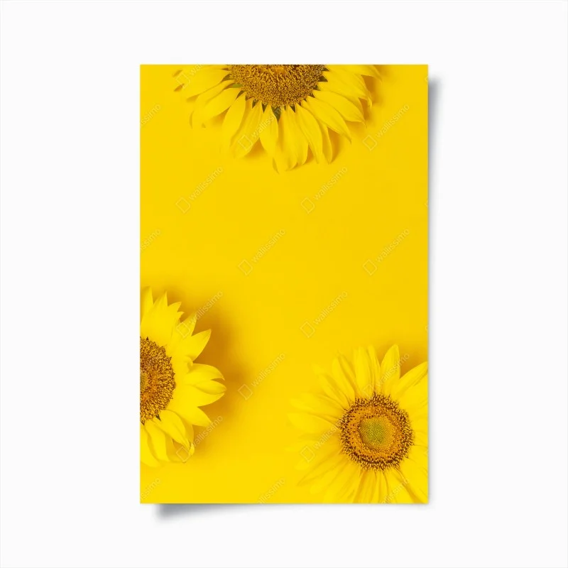 Póster girasoles sobre fondo amarillo vibrante