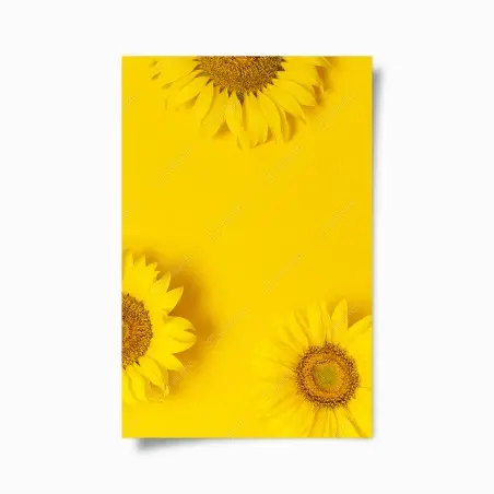 Póster girasoles sobre fondo amarillo vibrante – Pixers®