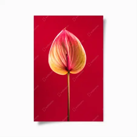Póster anturio en rojo: detalle botánico elegante – Pixers®