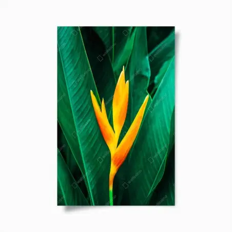 Póster flor tropical en vibrante contraste – Pixers®