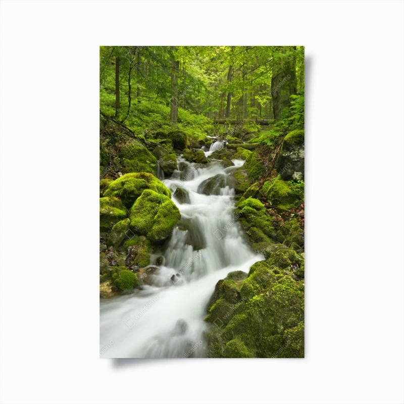 Póster oasis de agua en Slovenský Raj