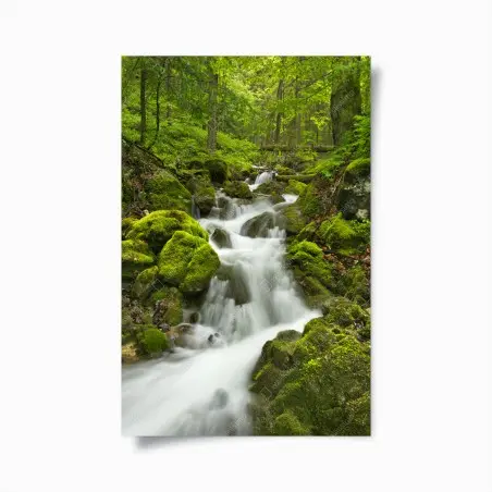 Póster oasis de agua en Slovenský Raj – Pixers®