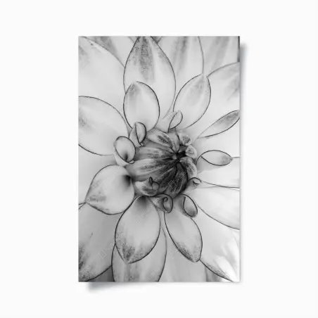 Póster detalle floral en blanco y negro – Pixers®
