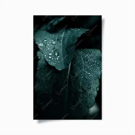 Póster hojas con gotas en tonos esmeralda – Pixers®