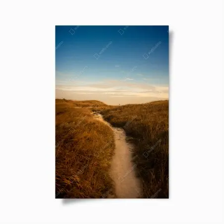 Póster sendero entre dunas doradas al atardecer – Pixers®