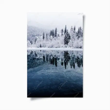 Póster serenidad invernal: bosque nevado reflejado – Pixers®