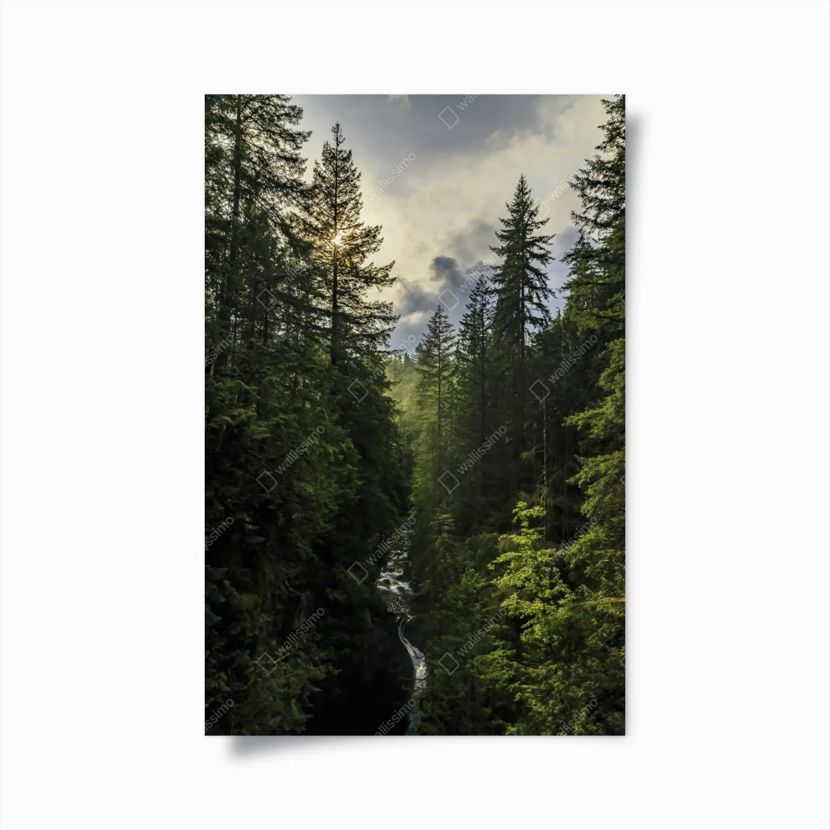 Póster panorámica de bosque y cascada al amanecer – Pixers® Póster panorámica de bosque y cascada al amanecer – Pixers®