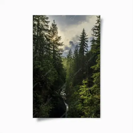 Póster panorámica de bosque y cascada al amanecer – Pixers®