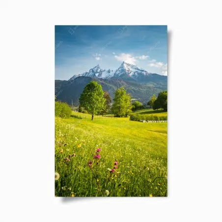 Póster pradera alpina en primavera – Pixers®