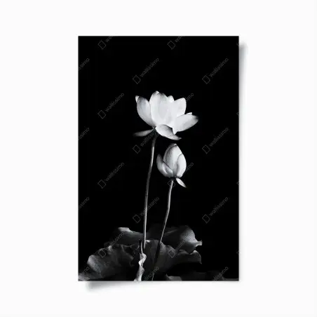 Póster loto en contraste monocromo y minimalista – Pixers®