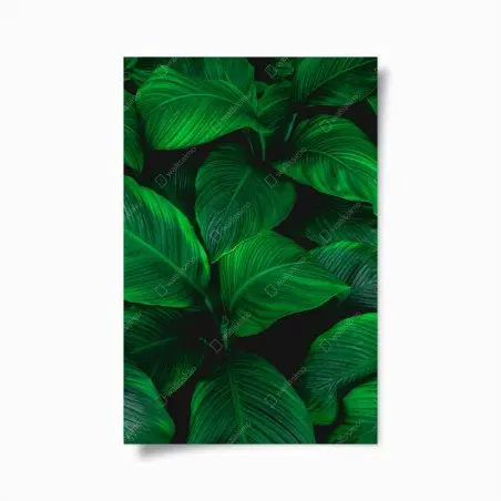 Póster follaje tropical en tonos verdes intensos – Pixers®