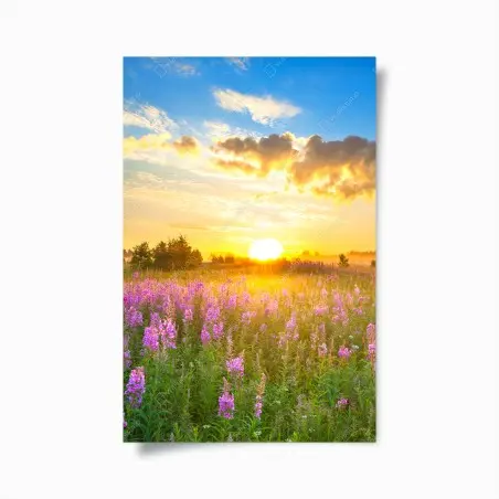 Póster amanecer en pradera florecida – Pixers®