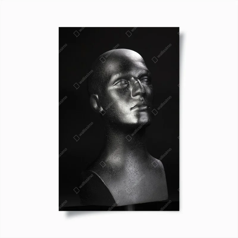 Póster busto metálico en alto contraste