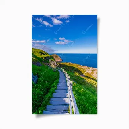Póster sendero costero hacia el mar bajo cielo azul – Pixers®