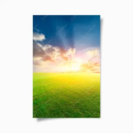 Póster atardecer dorado en pradera – Pixers®