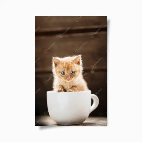 Póster gatito pelirrojo en taza sobre fondo rústico – Pixers®