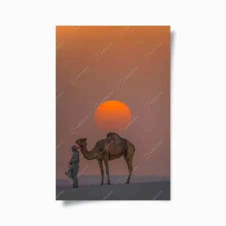 Póster atardecer en el desierto con camello – Pixers®