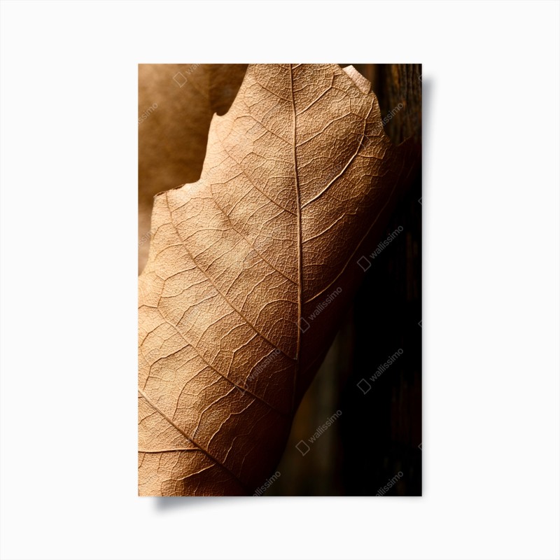 Póster textura de hoja seca en tonos sepia