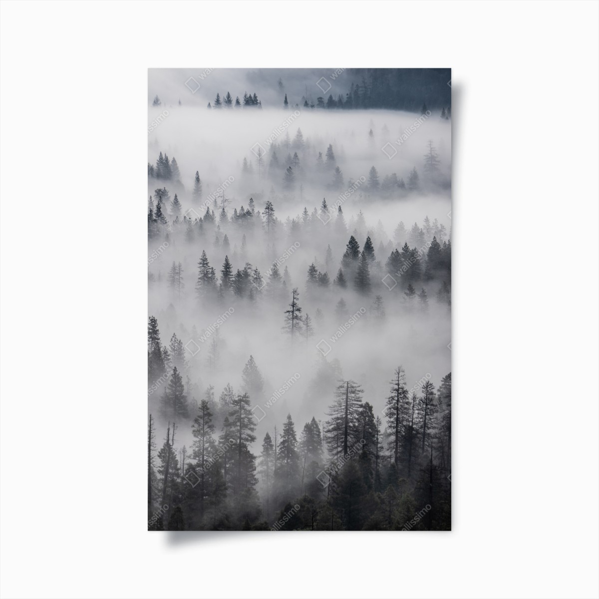 Póster bosque entre nieblas místico – Pixers®