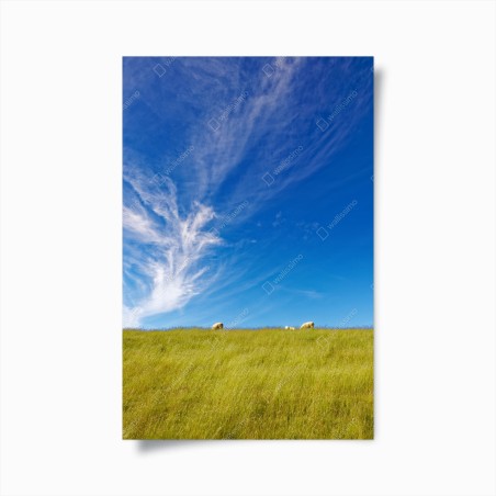 Póster pradera serena bajo un cielo azul – Pixers®
