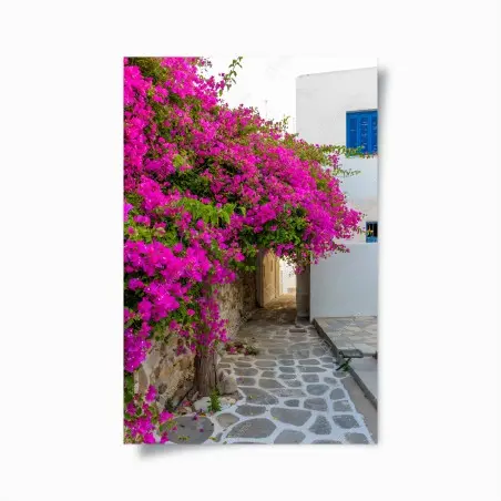 Póster callejón en Naousa, Paros con buganvillas fucsias – Pixers®
