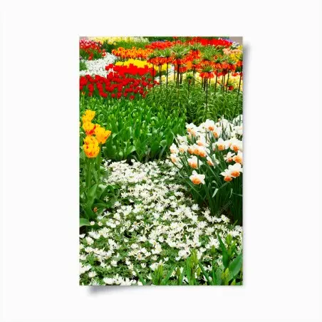 Póster explosión de color primaveral en el jardín – Pixers®