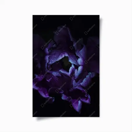 Póster tulipán púrpura en luz ultravioleta – Pixers®