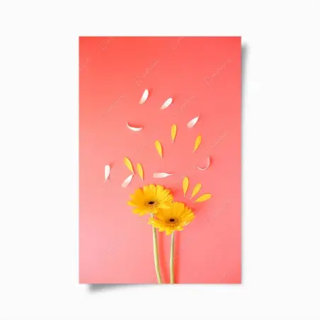 Póster gerberas amarillas sobre fondo coral minimalista – Pixers®