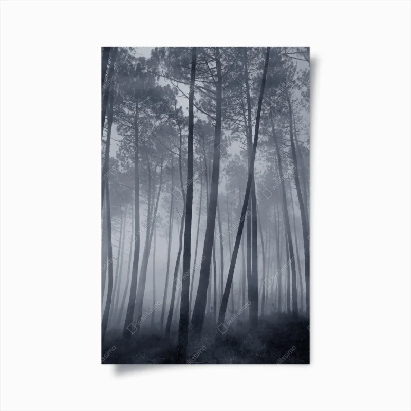 Póster bosque de pinos en niebla nocturna