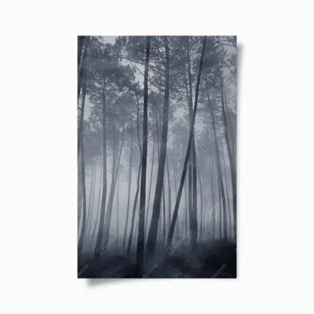 Póster bosque de pinos en niebla nocturna – Pixers®