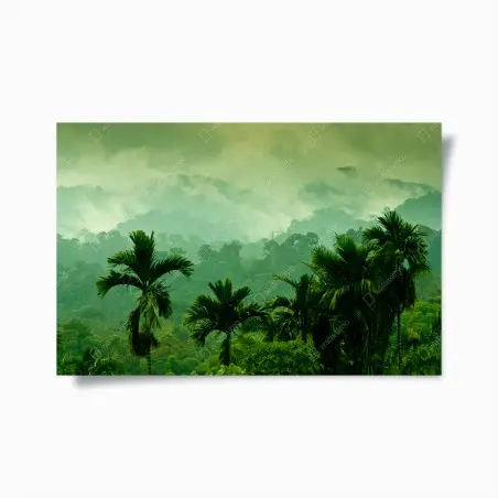 Póster bruma sobre la selva tropical – Pixers®