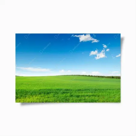 Póster paisaje sereno de pradera verde y cielo azul – Pixers®