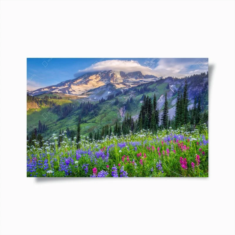Póster paisaje alpino de flores silvestres al atardecer