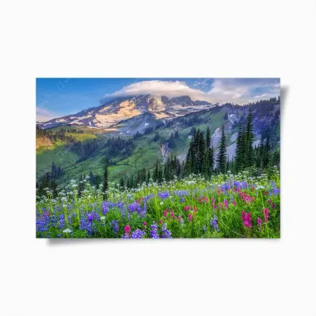 Póster paisaje alpino de flores silvestres al atardecer – Pixers®
