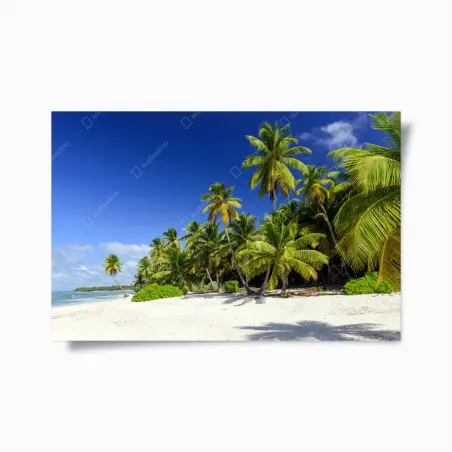 Póster paraíso caribeño en Punta Cana – Pixers®