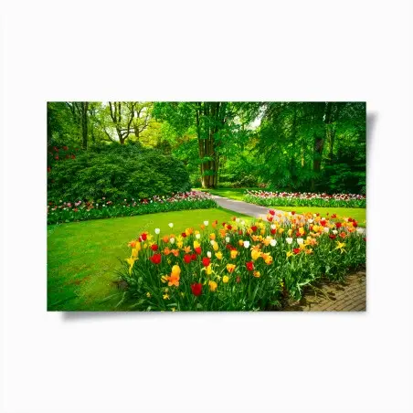 Póster jardín de tulipanes en Keukenhof – Pixers®