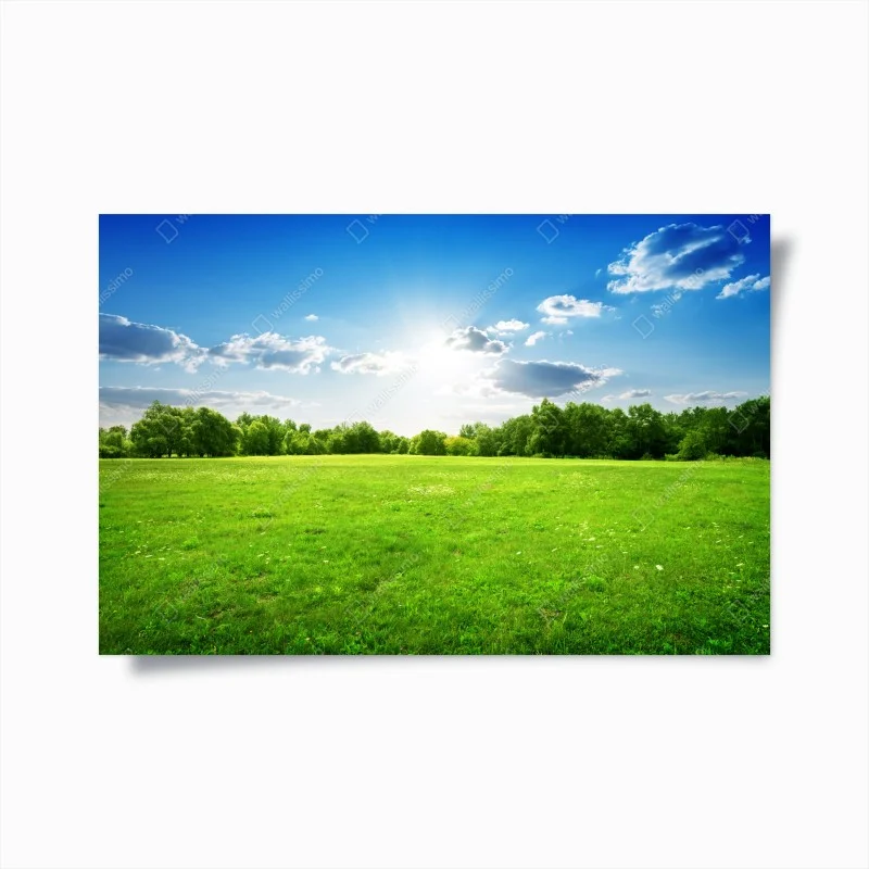 Póster amanecer sobre pradera verde y cielo azul
