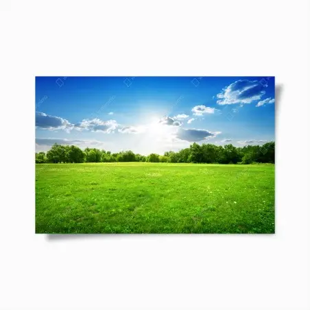 Póster amanecer sobre pradera verde y cielo azul – Pixers®